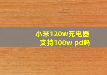 小米120w充电器支持100w pd吗